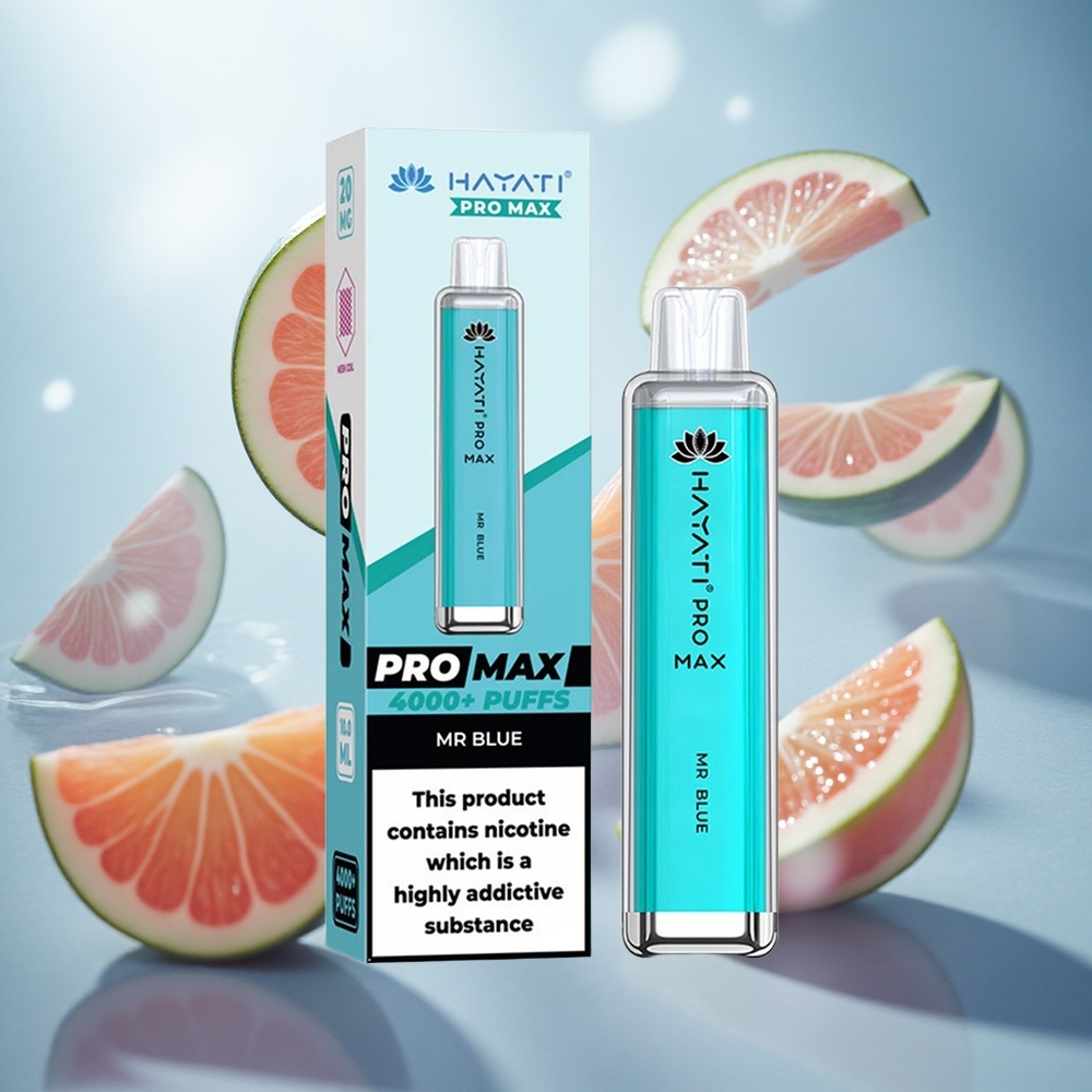 Hayati Pro Max 4000 Puffs Jednorázová Vape Mr Blue s dobíjecí baterií Czech Republic wholesale