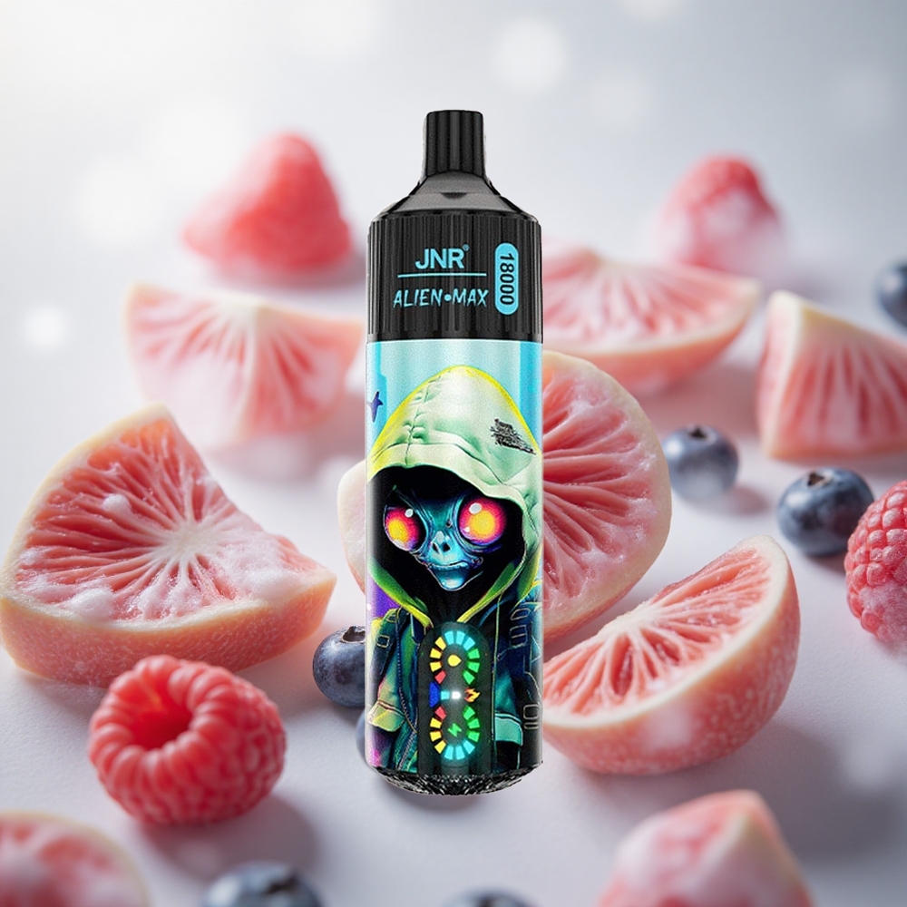 JNR Alien Max 18000 Puffs Jednorázová Vape Borůvka Malina s 28ml e-kapaliny Czech Republic wholesale