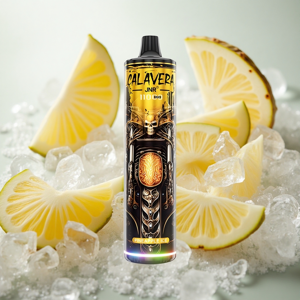 JNR Calavera 11000 Puffs Jednorázová Vape Ananasový led s 21ml Kapacitou E-liquidu Czech Republic wholesale