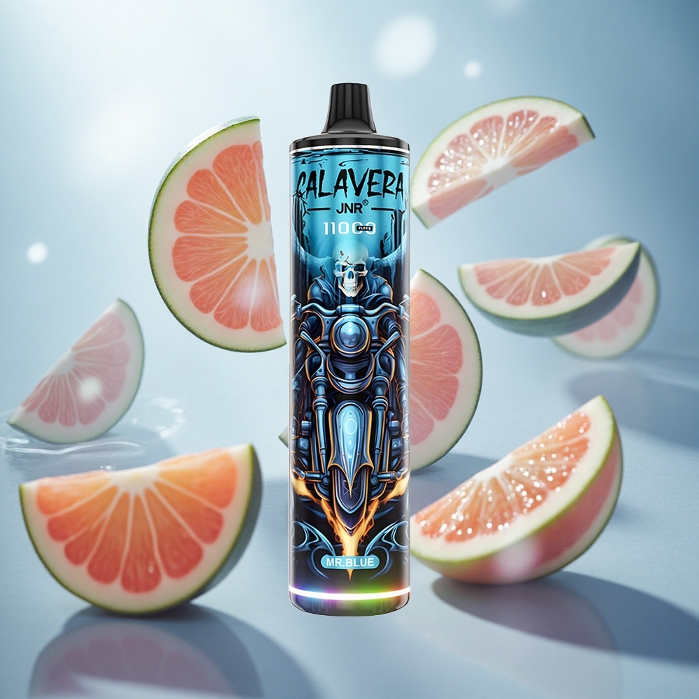 JNR Calavera 11000 Puffs Jednorázová Vape Mr Blue s 850 mAh kapacitou baterie Czech Republic wholesale