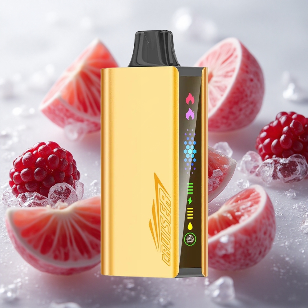 JNR Cruiser 12000 Puffs Blackberry Ice No-Charge Jednorázová Vape s vestavěnou baterií 3500 mAh Czech Republic wholesale