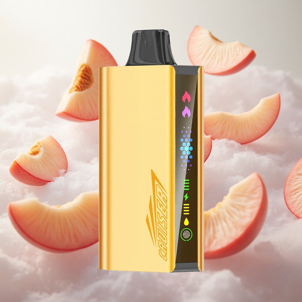 JNR Cruiser 12000 Puffs Broskev Led Dual Modes (Normální/Boost) Czech Republic wholesale