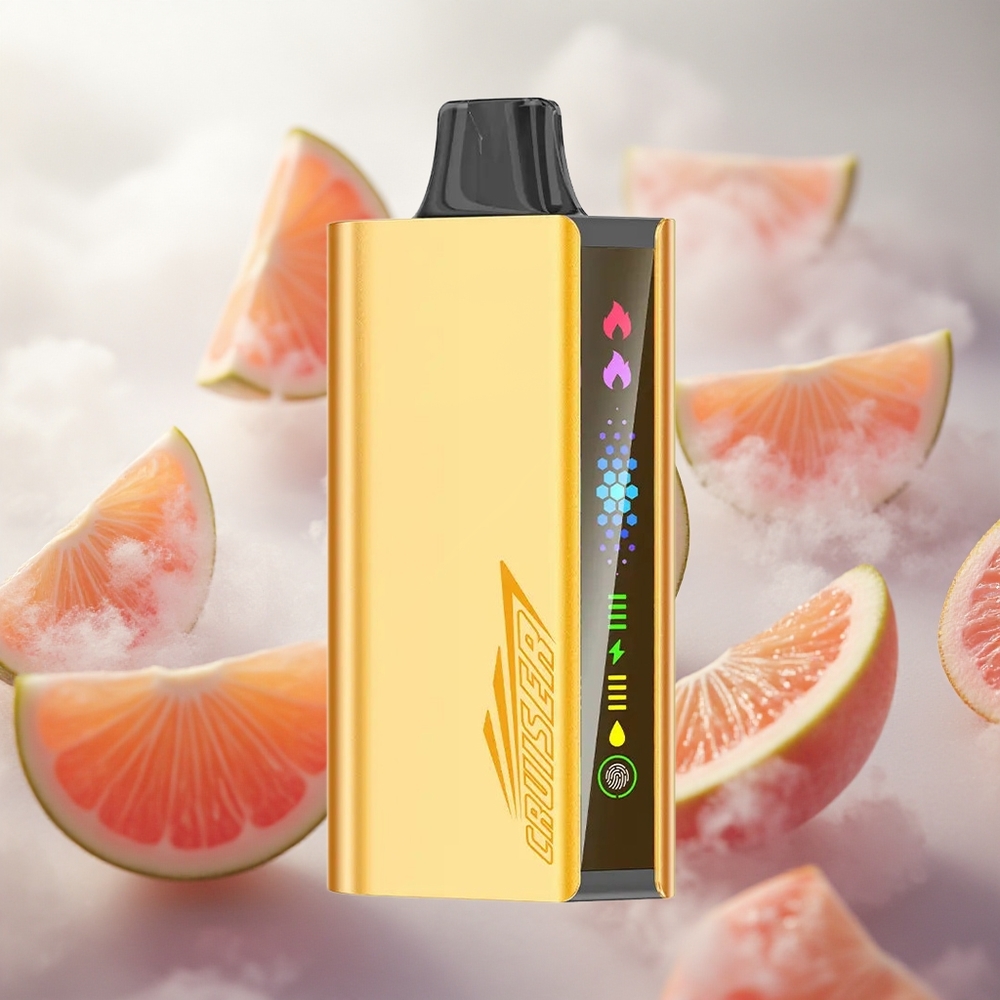 JNR Cruiser 12000 Puffs Cool Fanta Bezobslužná jednorázová vape s vestavěnou baterií 3500 mAh Czech Republic wholesale