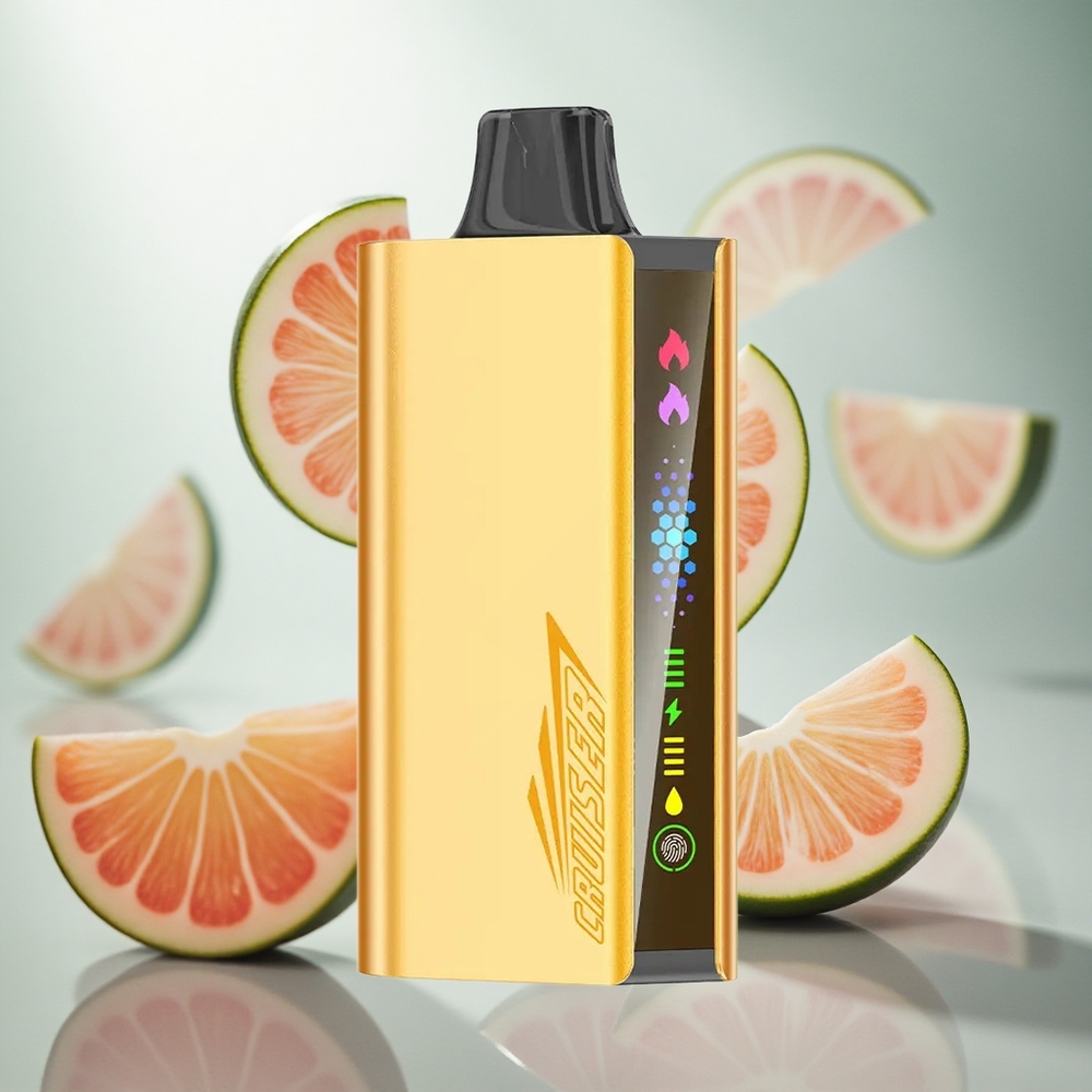 JNR Cruiser 12000 Puffs Cool Mint Bezdrátová Jednorázová E-cigareta s Vestavěnou Baterií 3500 mAh Czech Republic wholesale