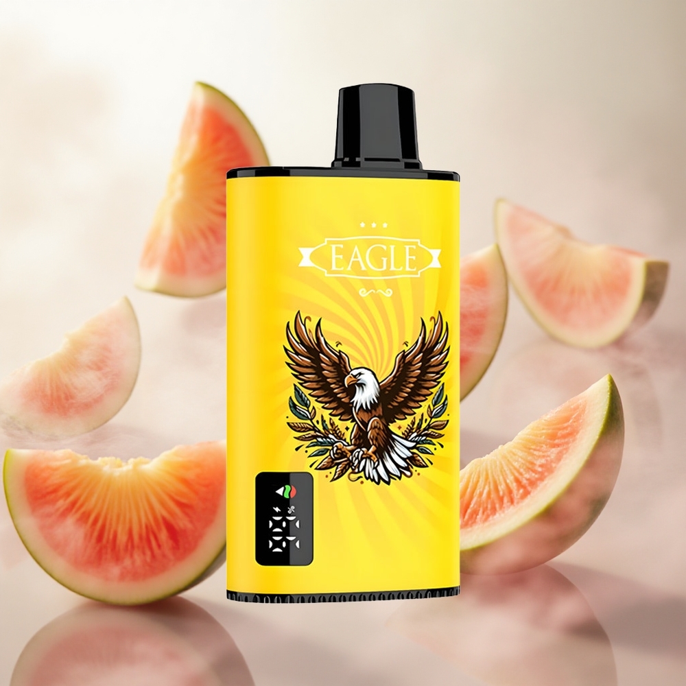 JNR EAGLE Smart 23000 Puffs Broskev Mango Vodní meloun Jednorázová Vape 25ml kapacita e-liquidu Czech Republic wholesale