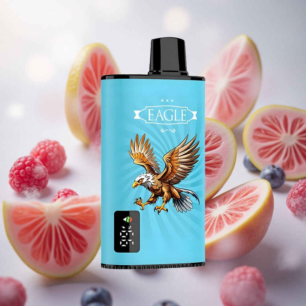 JNR EAGLE Smart 23000 Puffs Jednorázová Vape Borůvka Kyselá Malina Digitální displej Czech Republic wholesale