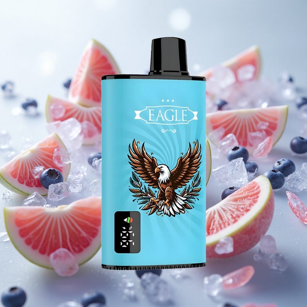 JNR EAGLE Smart 23000 Puffs Jednorázová Vape Borůvková ledová 25ml e-Liquid Capacity Czech Republic wholesale