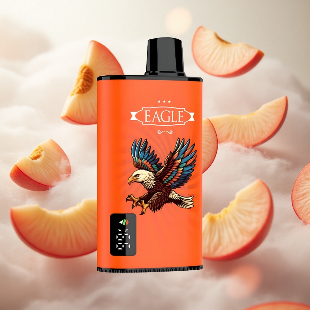 JNR EAGLE Smart 23000 Puffs Jednorázová Vape Juicy Peaches 25ml kapacita e-liquidu Czech Republic wholesale