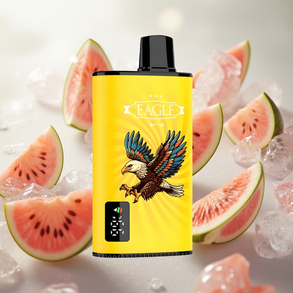 JNR EAGLE Smart 23000 Puffs Jednorázová Vape Kiwi Watermelon Ice 25ml kapacita e-liquidu Czech Republic wholesale