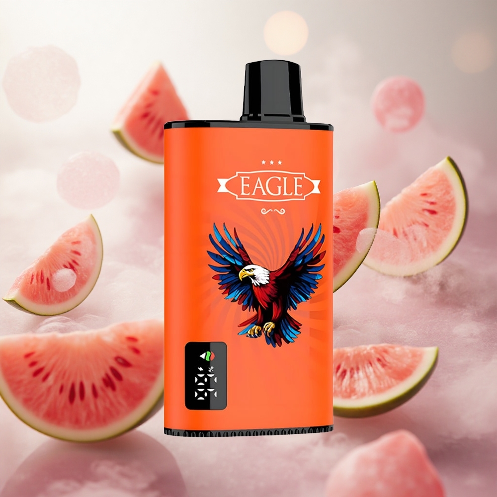 JNR EAGLE Smart 23000 Puffs Jednorázová Vape Watermelon Bubblegum 25ml kapacita e-liquidu Czech Republic wholesale