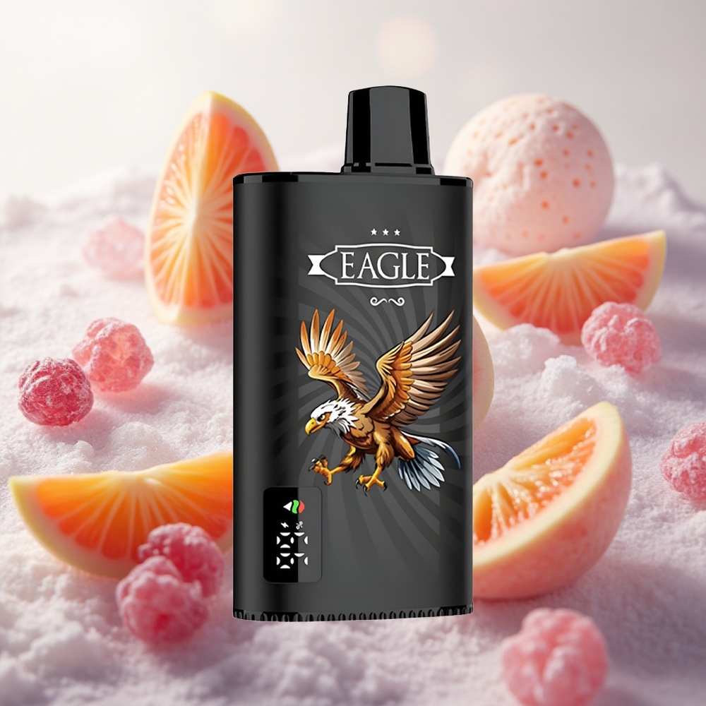 JNR EAGLE Smart 23000 Puffs Jednorázová Vape Černý rybíz Mango Ice 25ml kapacita e-liquidu Czech Republic wholesale