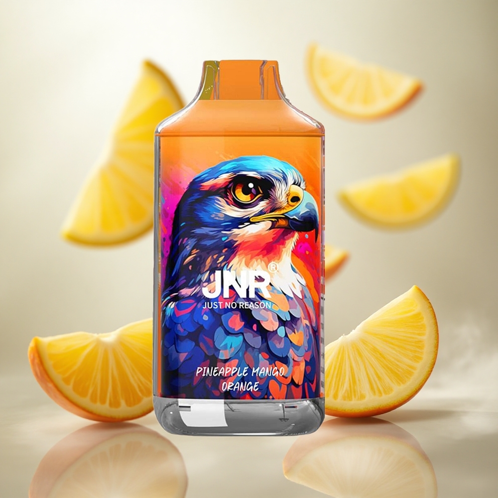 JNR Falcon 16000 Puffs Jednorázová Vape Ananas Mango Pomeranč 22ml Kapalina Czech Republic wholesale