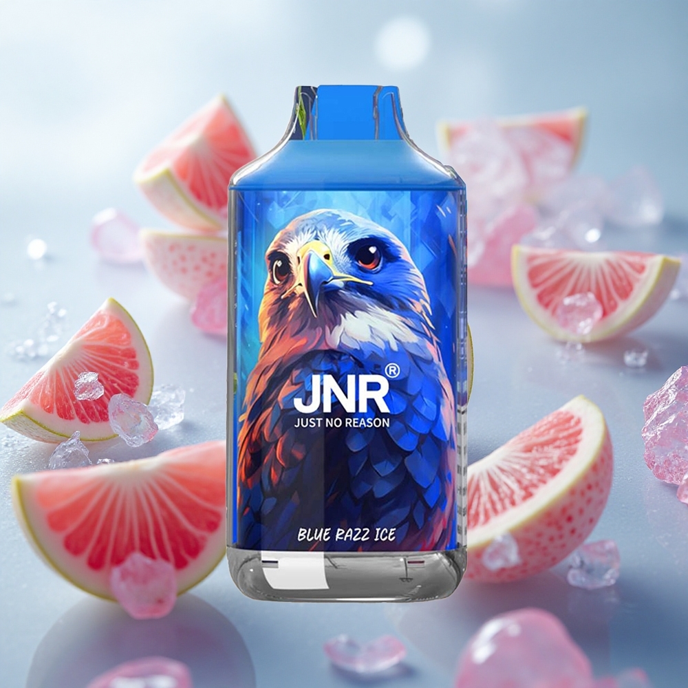 JNR Falcon 16000 Puffs Jednorázová Vape Blue Razz Ice 22ml Kapalina Dvojité Síťové Cívky Czech Republic wholesale