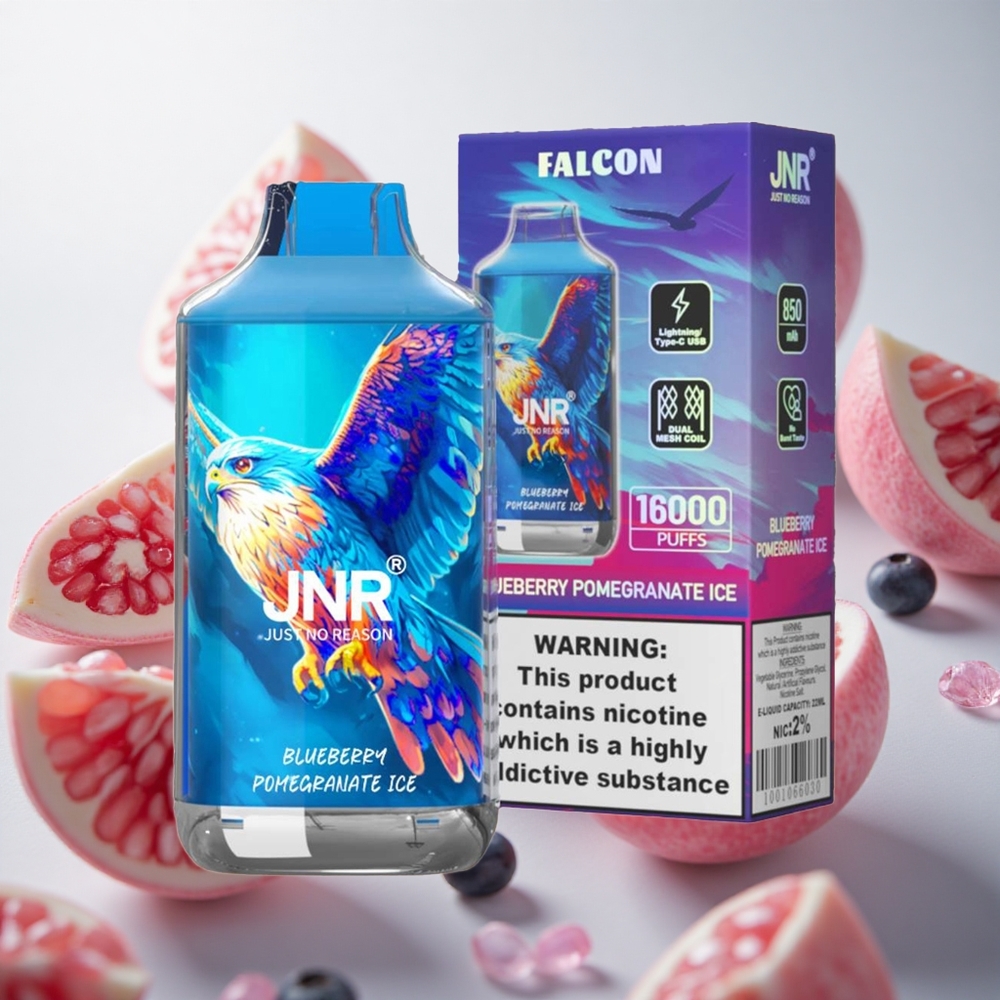 JNR Falcon 16000 Puffs Jednorázová Vape Borůvka Granátové Jablko Led 22ml Czech Republic wholesale