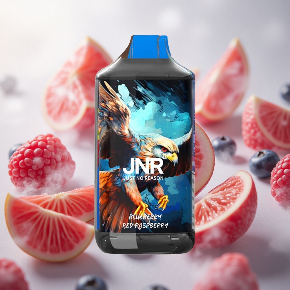 JNR Falcon 16000 Puffs Jednorázová Vape Borůvka Červená Malina 22ml Kapacita E-liquid Czech Republic wholesale