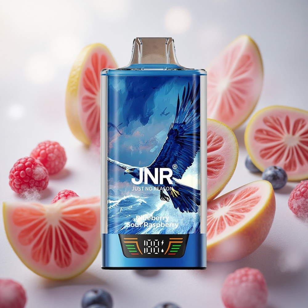 JNR Falcon Pro 28000 Jednorázová Vape Borůvka Kyselá Malina 30ml předplněná kapacita Czech Republic wholesale
