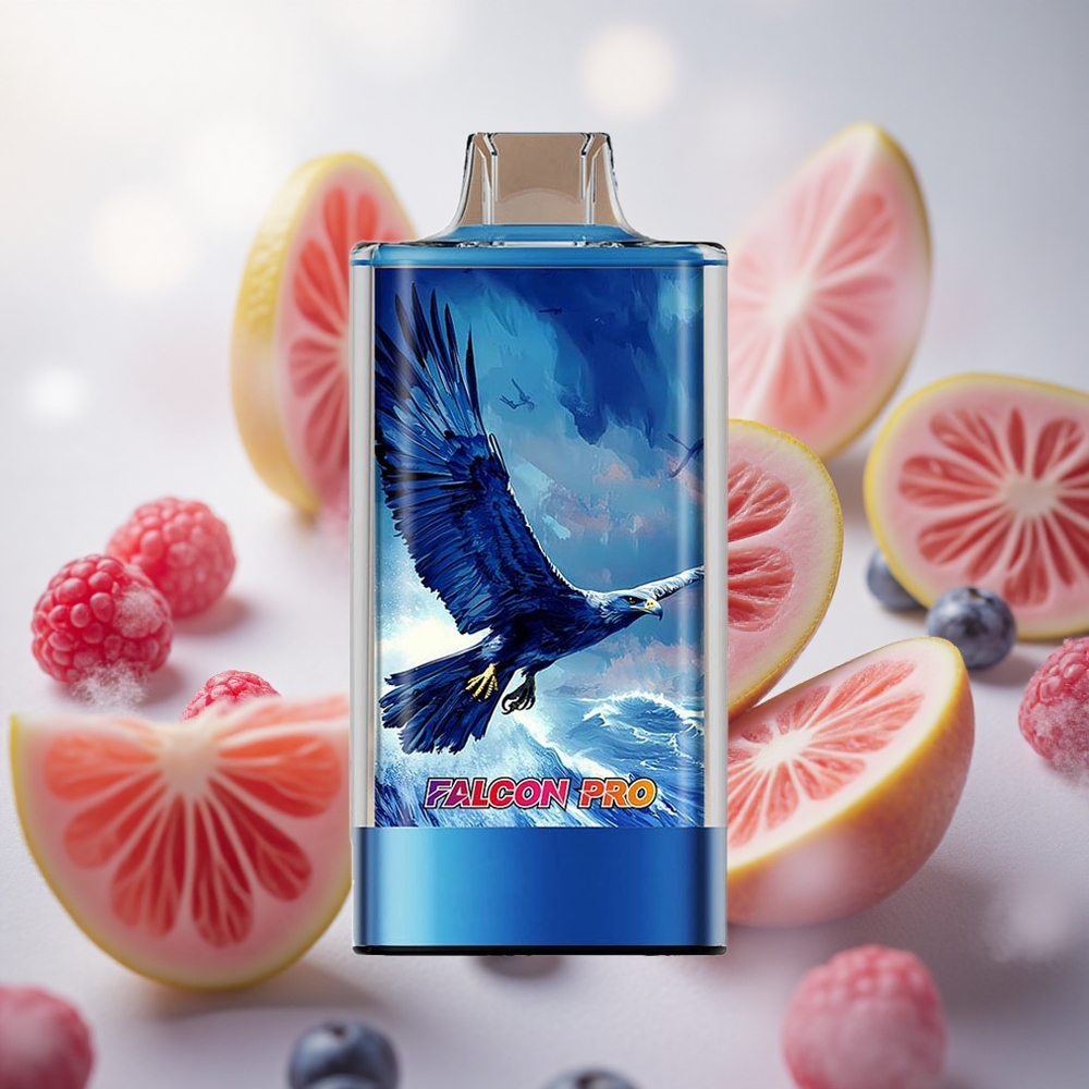 JNR Falcon Pro 28000 Jednorázová Vape Borůvka Kyselá Malina 30ml předplněná kapacita Czech Republic wholesale