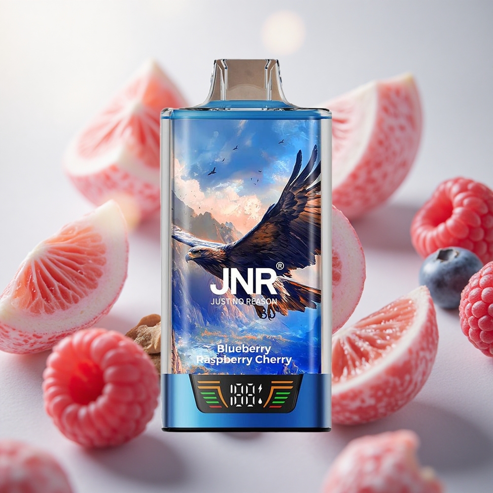 JNR Falcon Pro 28000 Jednorázová Vape Borůvka Malina Třešeň 950mAh Kapacita Baterie Czech Republic wholesale