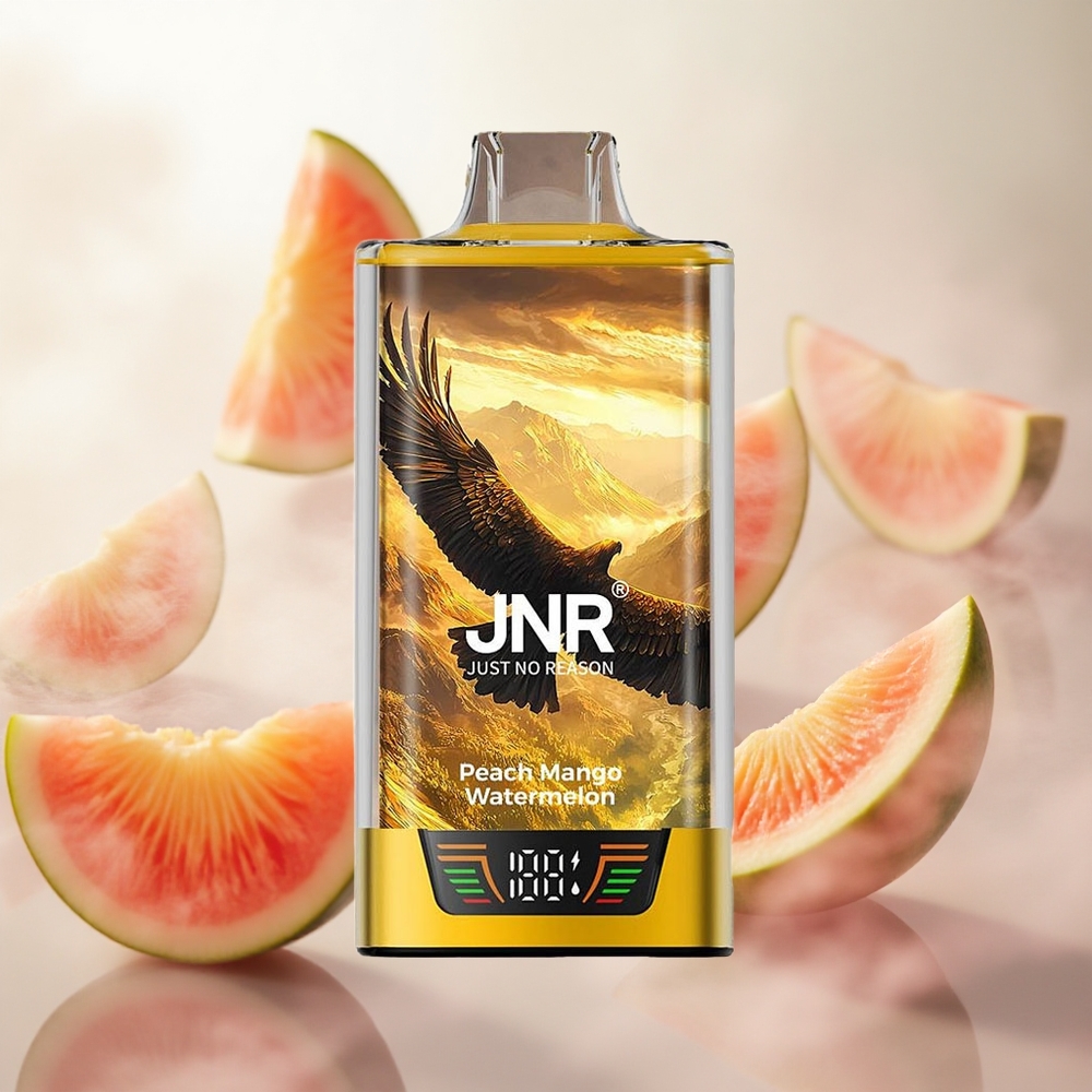 JNR Falcon Pro 28000 Jednorázová Vape Broskev Mango Vodní meloun 30ml předem naplněná kapacita Czech Republic wholesale