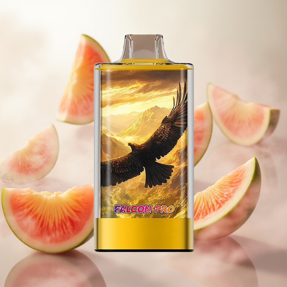 JNR Falcon Pro 28000 Jednorázová Vape Broskev Mango Vodní meloun 30ml předem naplněná kapacita Czech Republic wholesale