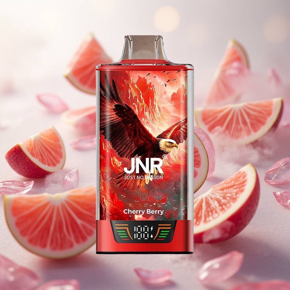 JNR Falcon Pro 28000 Jednorázová Vape Cherry Berry 28000 Puffs Czech Republic wholesale