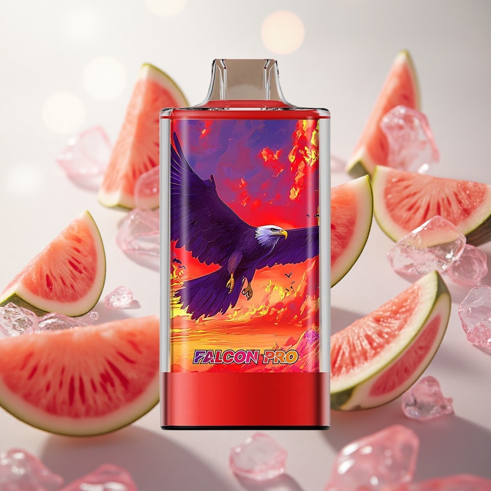 JNR Falcon Pro 28000 Jednorázová Vape Vodní meloun Led 950mAh Kapacita baterie Czech Republic wholesale