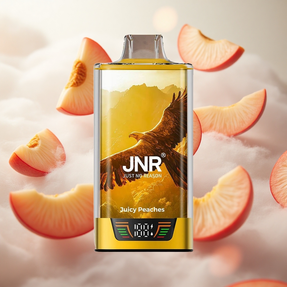 JNR Falcon Pro 28000 Jednorázová Vape Šťavnaté broskve 950mAh Kapacita baterie Czech Republic wholesale