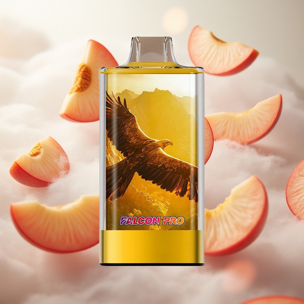 JNR Falcon Pro 28000 Jednorázová Vape Šťavnaté broskve 950mAh Kapacita baterie Czech Republic wholesale