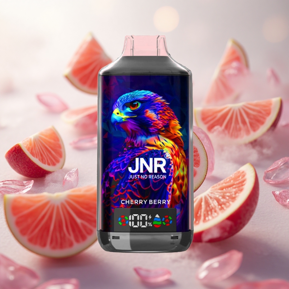 JNR Falcon X 18000 Puffs Cherry Berry Jednorázová Vape s Obsahem Nikotinu 025 Czech Republic wholesale