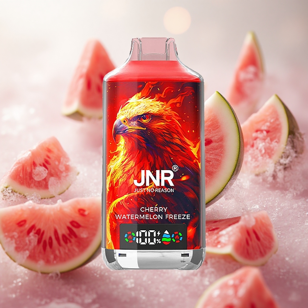 JNR Falcon X 18000 Puffs Cherry Watermelon Freeze 24ml Kapalina Dvojité Síťové Cívky  Dvojité Jádro Czech Republic wholesale