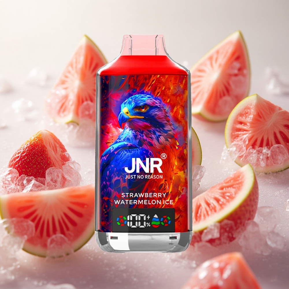 JNR Falcon X 18000 Puffs Jahody Meloun Led 24ml Kapalina Česká republika velkoobchod