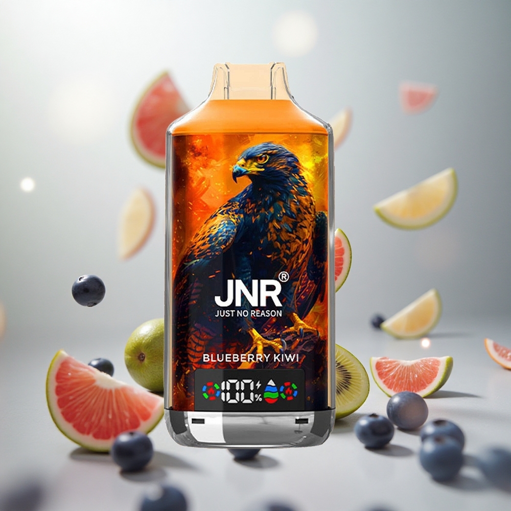 JNR Falcon X 18000 Puffs Jednorázová Vape Borůvka Kiwi 24ml Kapacita E-liquid Velkoobchod Česko