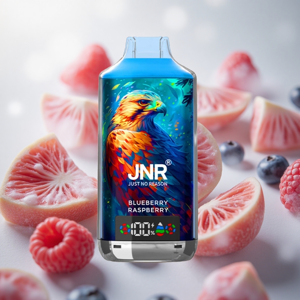 JNR Falcon X 18000 Puffs Jednorázová Vape Borůvka Malina Kapacita E-liquid 24ml Czech Republic wholesale