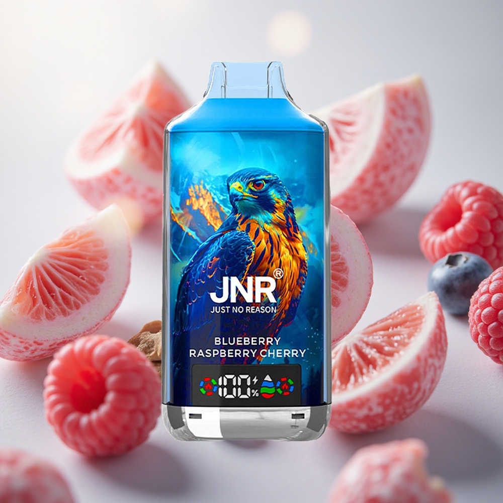 JNR Falcon X 18000 Puffs Jednorázová Vape Borůvka Malina Třešeň 24ml Kapalina Czech Republic wholesale