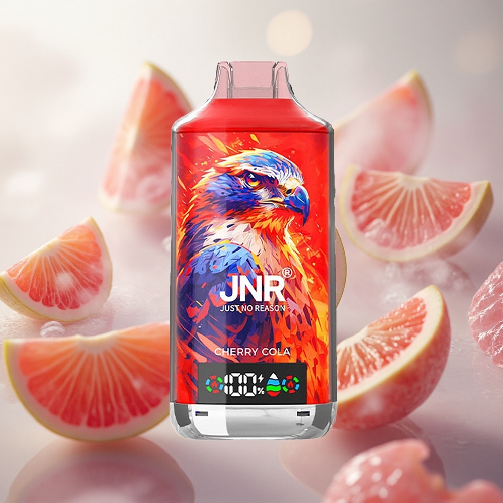 JNR Falcon X 18000 Puffs Jednorázová Vape Cherry Digital Display Czech Republic wholesale