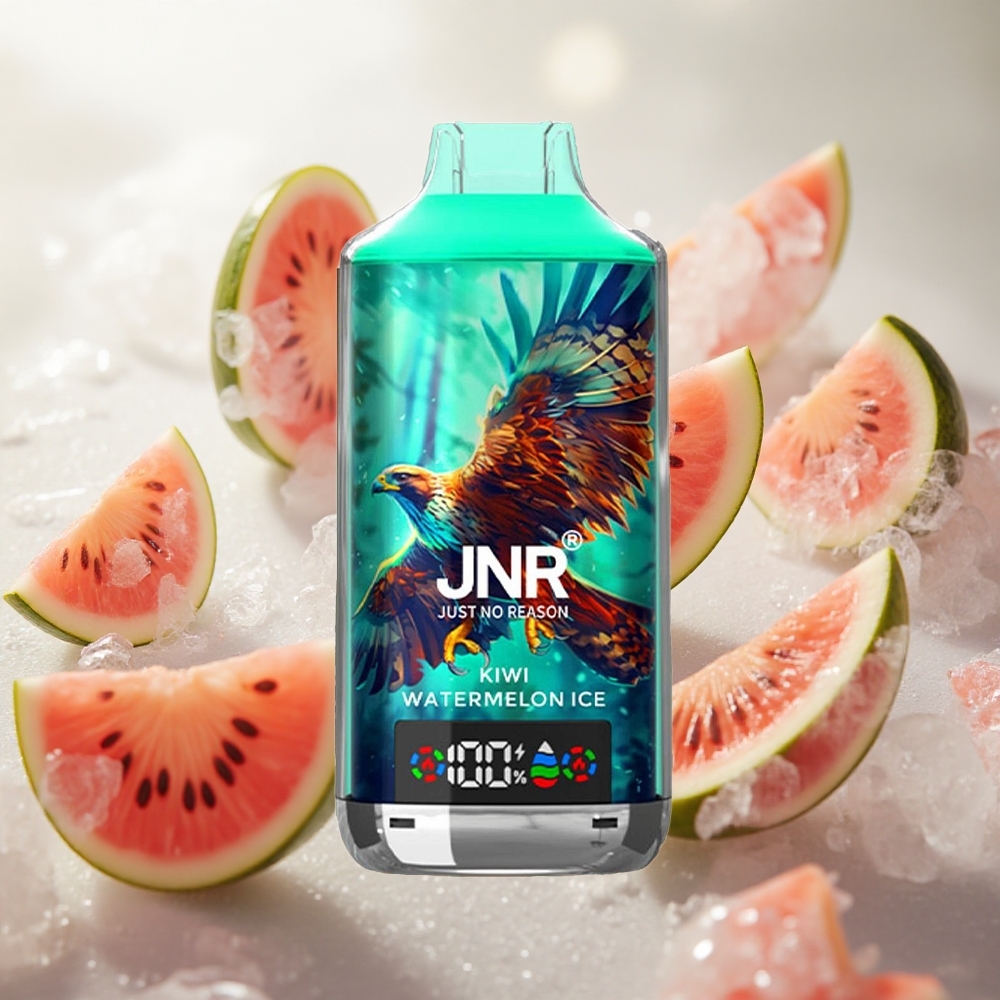 JNR Falcon X 18000 Puffs Jednorázová Vape Kiwi Watermelon Ice 24ml Kapalina Dual Mesh Coil  Dual Core Czech Republic wholesale