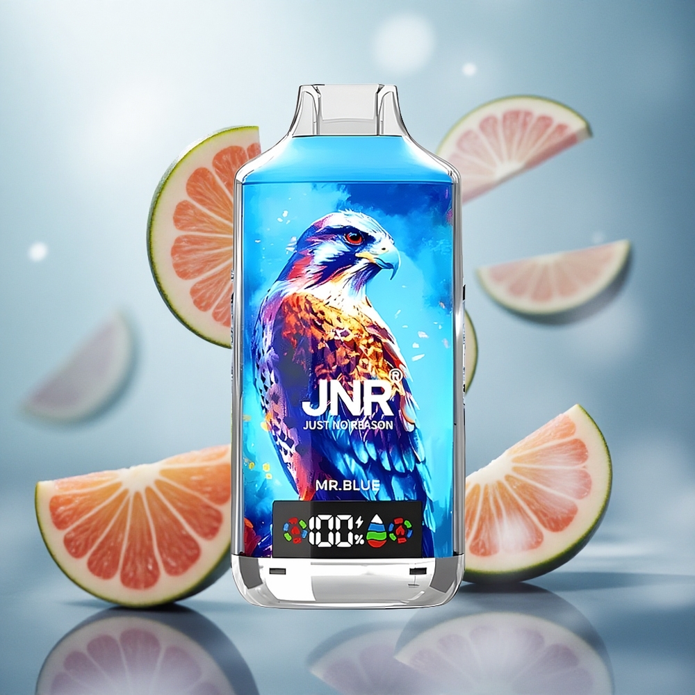 JNR Falcon X 18000 Puffs Jednorázová Vape Mr Blue 24ml Kapalina Česká republika velkoobchod
