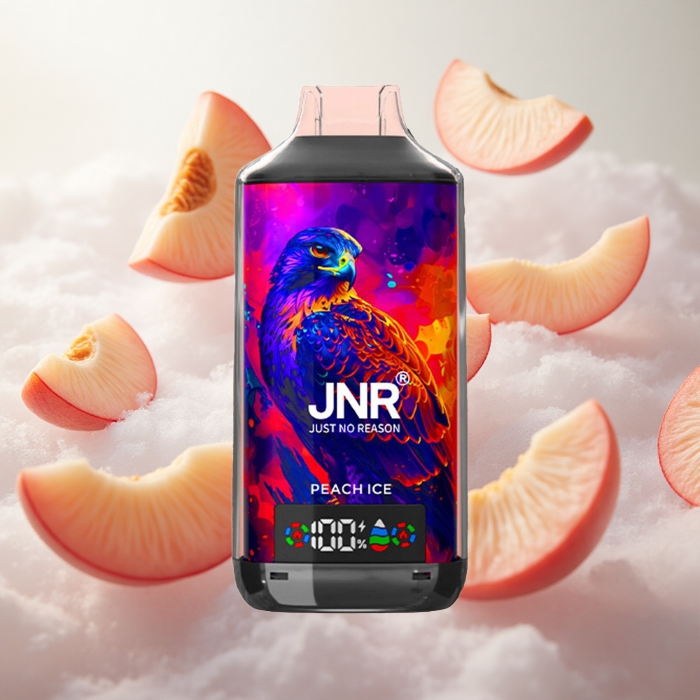 JNR Falcon X 18000 Puffs Jednorázová Vape Peach Ice 24ml Kapalina Česká republika velkoobchod
