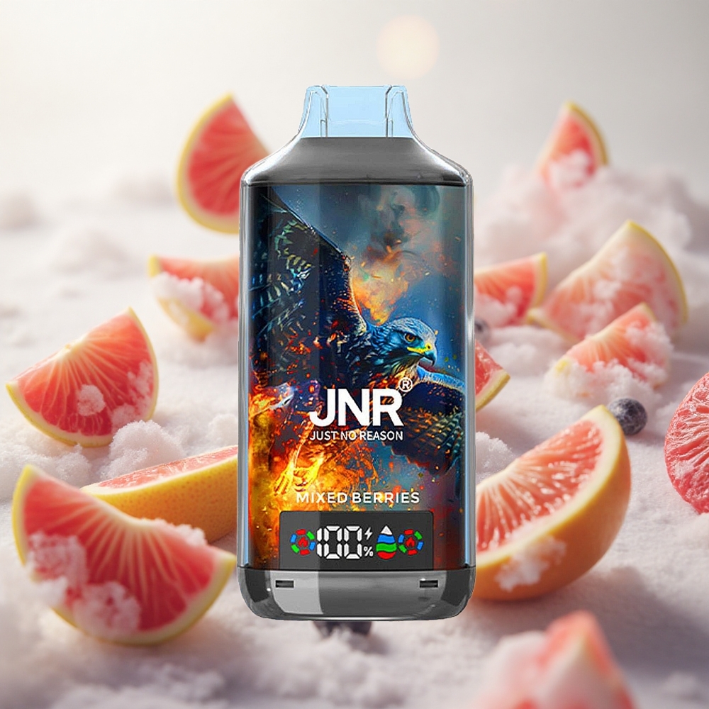 JNR Falcon X 18000 Puffs Jednorázová Vape Směs lesního ovoce s kapacitou 24ml Czech Republic wholesale