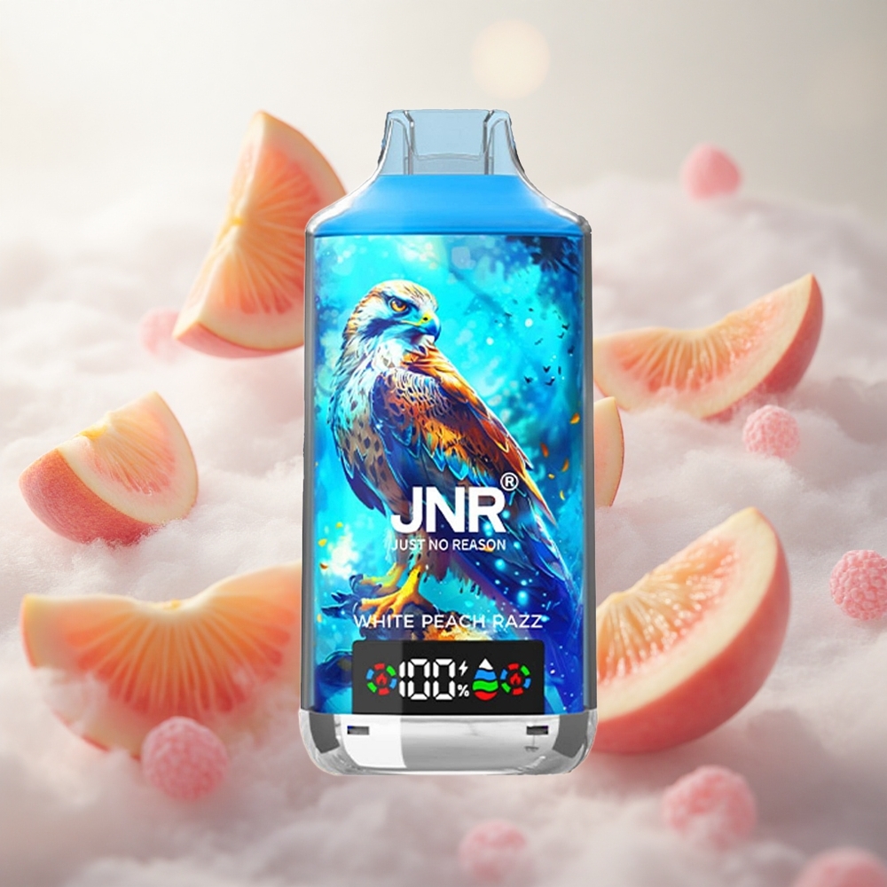 JNR Falcon X 18000 Puffs Jednorázová Vape White Peach Razz 24ml Kapalina Dual Mesh Coil  Dual Core Czech Republic wholesale