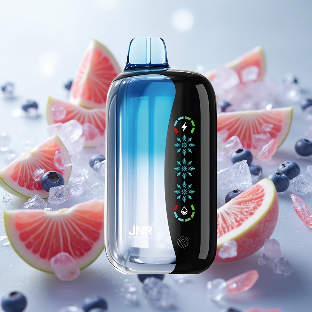 JNR Flex Ice 21000 Puffs Jednorázová Vape Borůvka Ice 26ml E-liquid Czech Republic wholesale