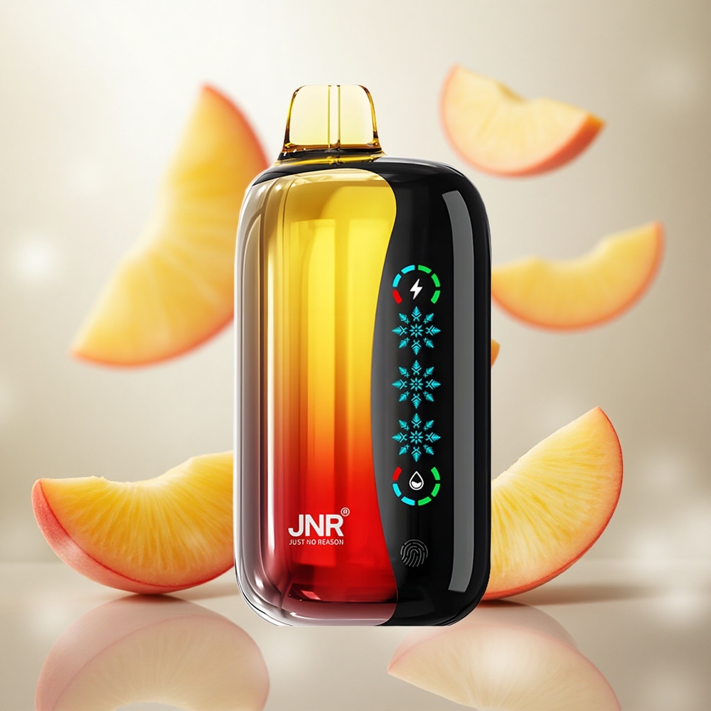 JNR Flex Ice 21000 Puffs Jednorázová Vape Peach Mango Pineapple 26ml E-liquid Czech Republic wholesale