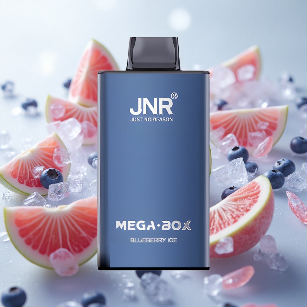 JNR Mega Box 25000 Puffs Jednorázová Vape Borůvka Led 30ml Kapalina Czech Republic wholesale