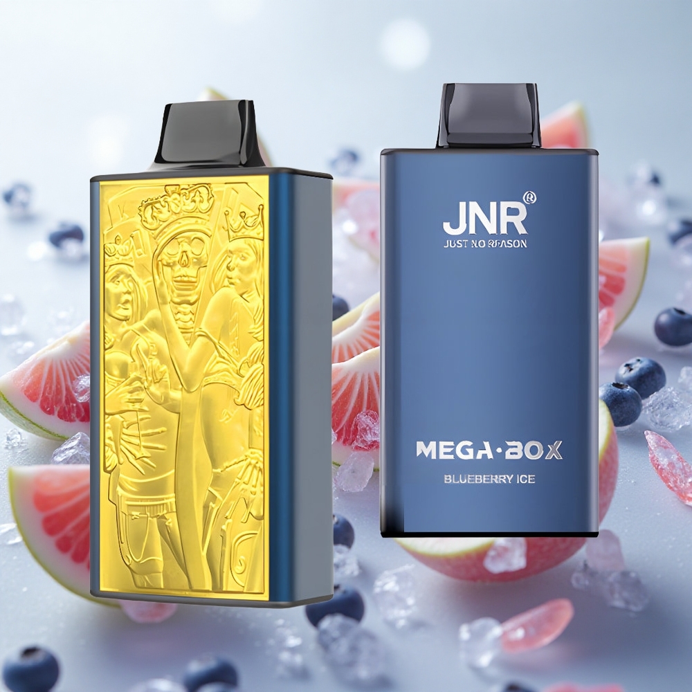 JNR Mega Box 25000 Puffs Jednorázová Vape Borůvka Led 30ml Kapalina Czech Republic wholesale