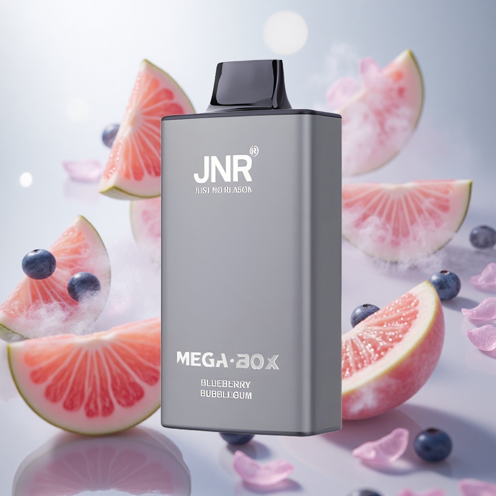 JNR Mega Box 25000 Puffs Jednorázová Vape Borůvková Bubblegum 30ml Kapacita E-liquid Czech Republic wholesale