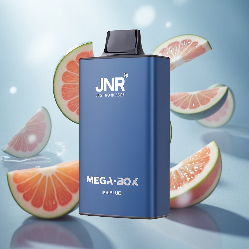 JNR Mega Box 25000 Puffs Jednorázová Vape Mr Blue 2 Nikotin Czech Republic wholesale
