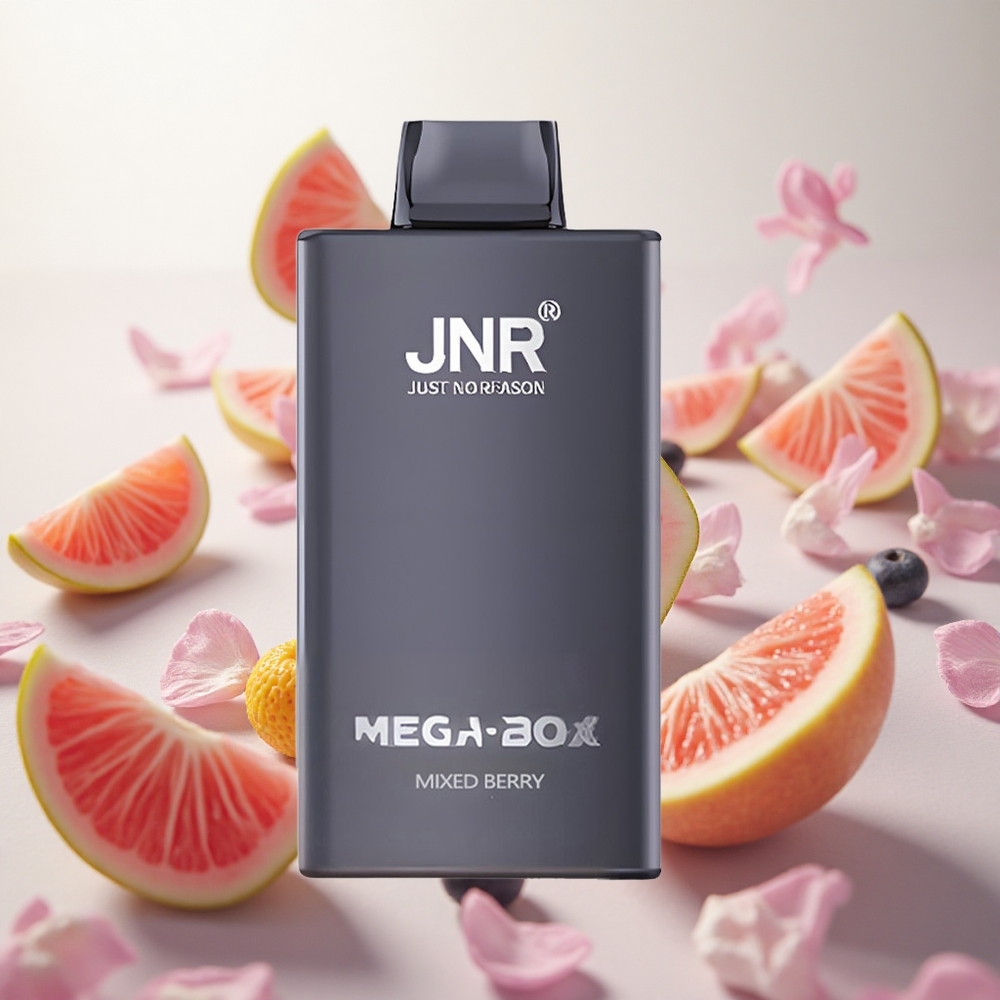 JNR Mega Box 25000 Puffs Jednorázová Vape Směs lesního ovoce 30ml Kapacita e-liquidu Nikotin 2 Czech Republic wholesale