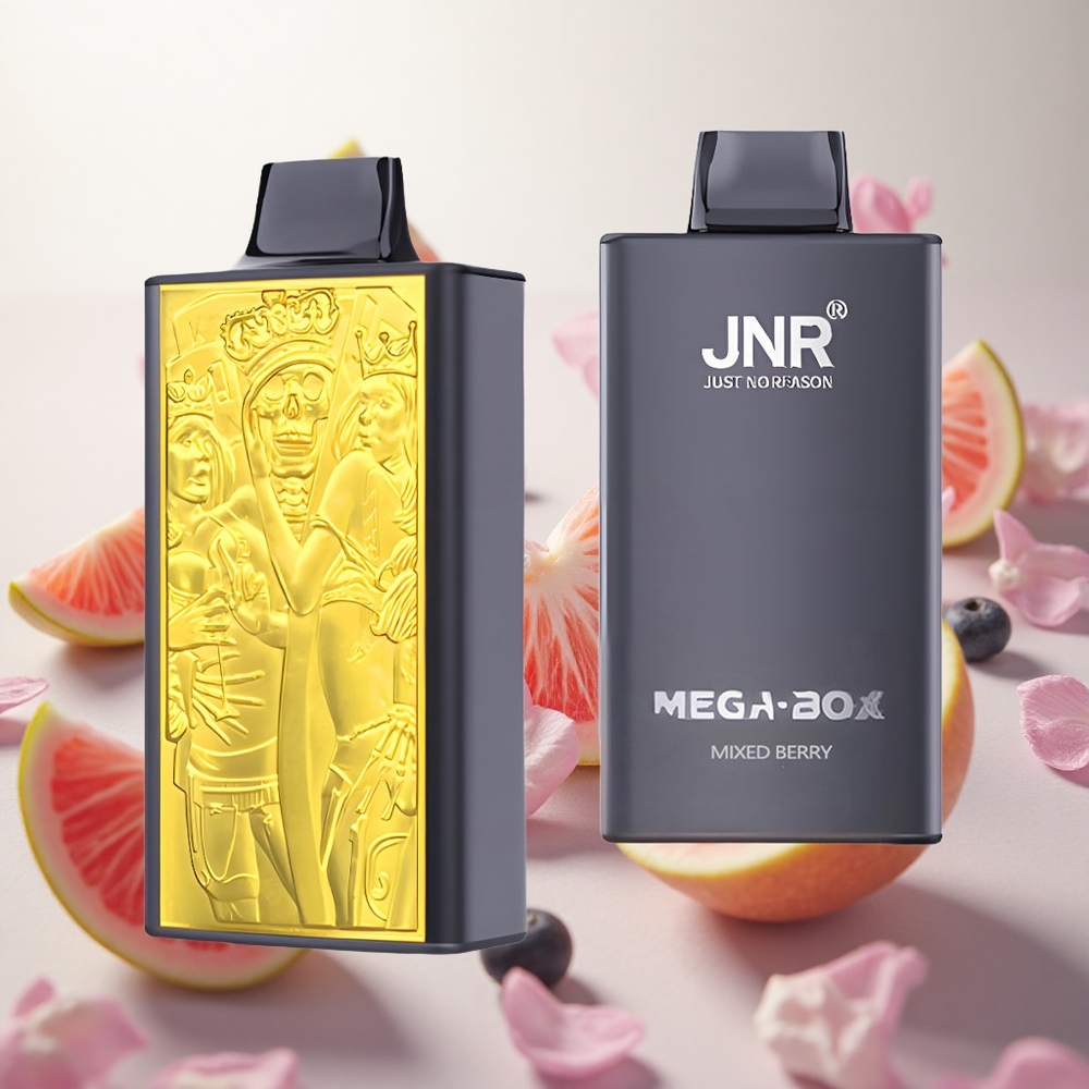 JNR Mega Box 25000 Puffs Jednorázová Vape Směs lesního ovoce 30ml Kapacita e-liquidu Nikotin 2 Czech Republic wholesale