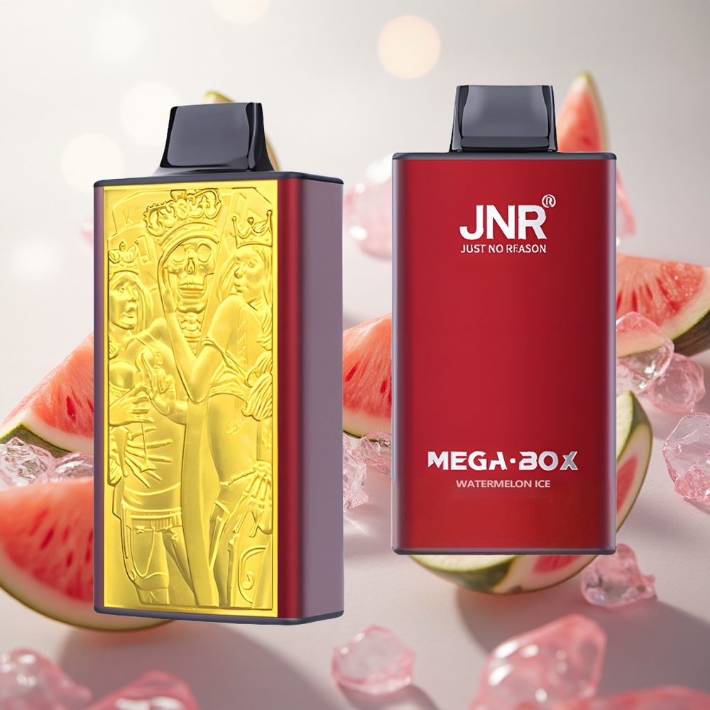 JNR Mega Box 25000 Puffs Jednorázová Vape Watermelon Ice 30ml Kapacita E-liquid Czech Republic wholesale