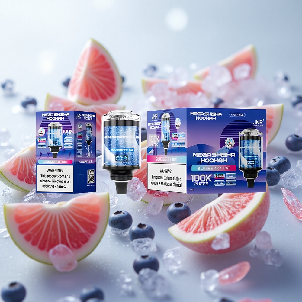 JNR Mega Shisha Hookah 100K 2200mAh dobíjecí baterie Blueberry Ice Czech Republic wholesale